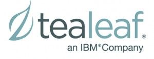 Masterclass de Tealeaf en IBM
